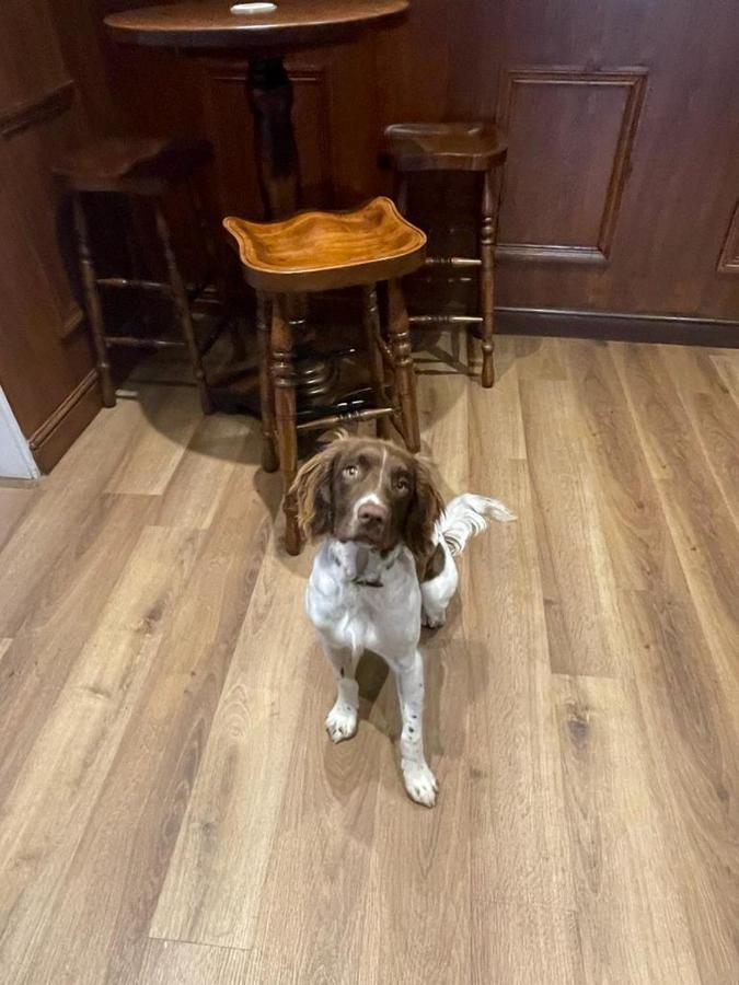 The Black Horse Inn Settle Luaran gambar